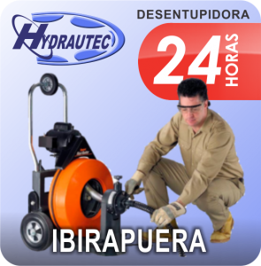 desentupidora no ibirapuera